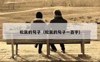 松鼠的句子（松鼠的句子一百字）