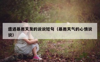 遭遇暴雨天发的说说短句（暴雨天气的心情说说）
