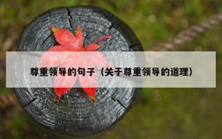 尊重领导的句子（关于尊重领导的道理）