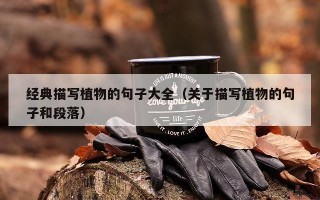 经典描写植物的句子大全（关于描写植物的句子和段落）