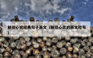 触动心房经典句子英文（触动心灵的英文短句）