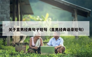 关于直男经典句子短句（直男经典语录短句）