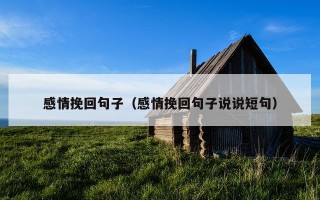 感情挽回句子（感情挽回句子说说短句）