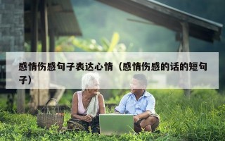 感情伤感句子表达心情（感情伤感的话的短句子）