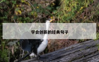 学会创新的经典句子