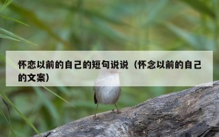 怀恋以前的自己的短句说说（怀念以前的自己的文案）