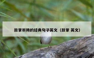 鼓掌祈祷的经典句子英文（鼓掌 英文）