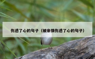 伤透了心的句子（被亲情伤透了心的句子）