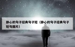 静心的句子经典句子短（静心的句子经典句子短句图片）