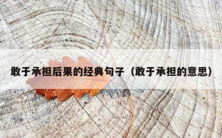 敢于承担后果的经典句子（敢于承担的意思）