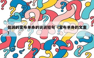 低调的宣布单身的说说短句（宣布单身的文案）