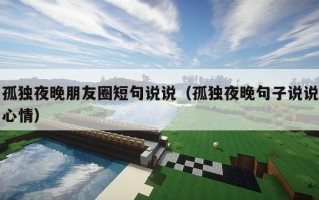 孤独夜晚朋友圈短句说说（孤独夜晚句子说说心情）