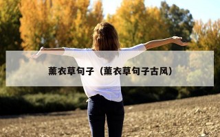 薰衣草句子（薰衣草句子古风）
