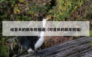 给首长的新年祝福语（对首长的新年祝福）