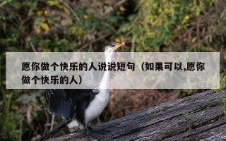 愿你做个快乐的人说说短句（如果可以,愿你做个快乐的人）