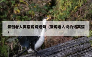 圣诞老人英语说说短句（圣诞老人说的话英语）