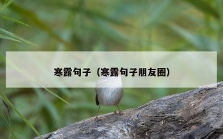 寒露句子（寒露句子朋友圈）