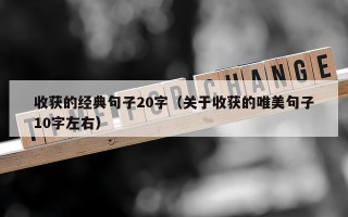 收获的经典句子20字（关于收获的唯美句子10字左右）