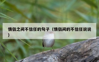 情侣之间不信任的句子（情侣间的不信任说说）