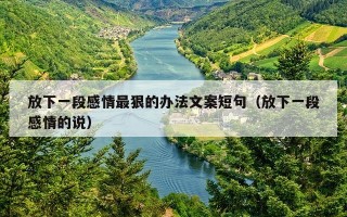 放下一段感情最狠的办法文案短句（放下一段感情的说）