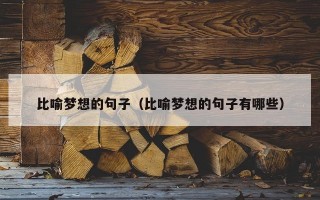 比喻梦想的句子（比喻梦想的句子有哪些）