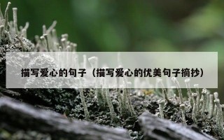 描写爱心的句子（描写爱心的优美句子摘抄）