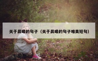 关于晨曦的句子（关于晨曦的句子唯美短句）