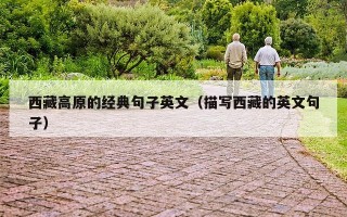 西藏高原的经典句子英文（描写西藏的英文句子）