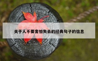 关于人不要害怕失去的经典句子的信息