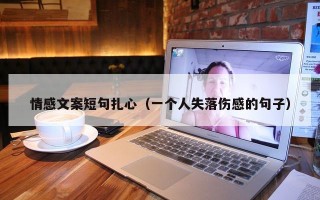 情感文案短句扎心（一个人失落伤感的句子）