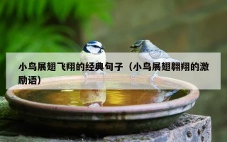 小鸟展翅飞翔的经典句子（小鸟展翅翱翔的激励语）