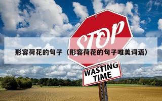 形容荷花的句子（形容荷花的句子唯美词语）
