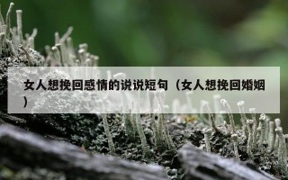 女人想挽回感情的说说短句（女人想挽回婚姻）