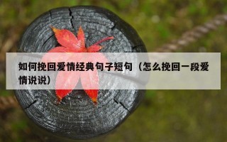 如何挽回爱情经典句子短句（怎么挽回一段爱情说说）