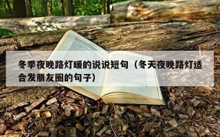 冬季夜晚路灯暖的说说短句（冬天夜晚路灯适合发朋友圈的句子）