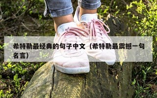 希特勒最经典的句子中文（希特勒最震撼一句名言）