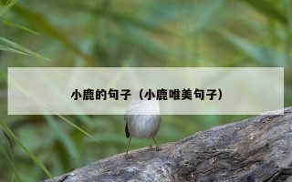 小鹿的句子（小鹿唯美句子）