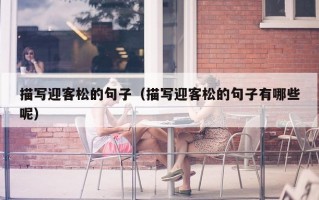 描写迎客松的句子（描写迎客松的句子有哪些呢）
