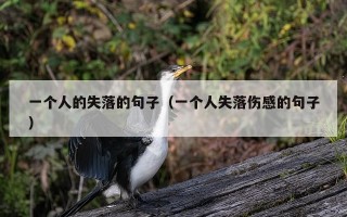一个人的失落的句子（一个人失落伤感的句子）