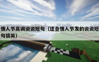 情人节高调说说短句（适合情人节发的说说短句搞笑）