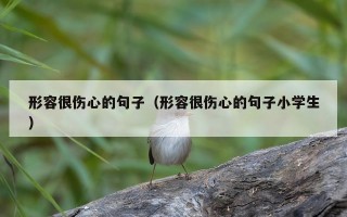 形容很伤心的句子（形容很伤心的句子小学生）