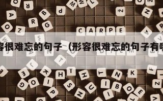 形容很难忘的句子（形容很难忘的句子有哪些）