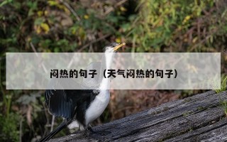 闷热的句子（天气闷热的句子）