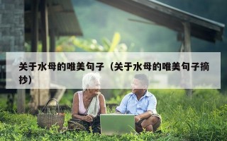 关于水母的唯美句子（关于水母的唯美句子摘抄）