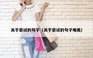 关于尝试的句子（关于尝试的句子唯美）