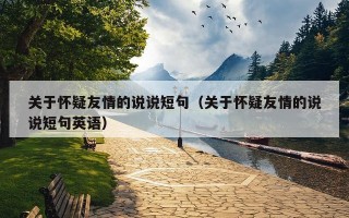 关于怀疑友情的说说短句（关于怀疑友情的说说短句英语）