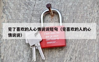 见了喜欢的人心情说说短句（见喜欢的人的心情说说）