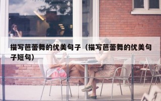 描写芭蕾舞的优美句子（描写芭蕾舞的优美句子短句）