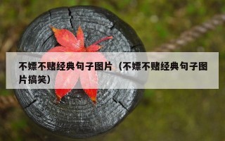 不嫖不赌经典句子图片（不嫖不赌经典句子图片搞笑）