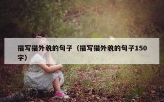 描写猫外貌的句子（描写猫外貌的句子150字）